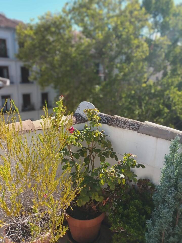 Apartamento Home4u Santo Domingo Granada